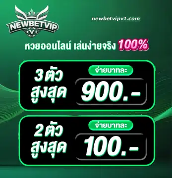 newbet slot